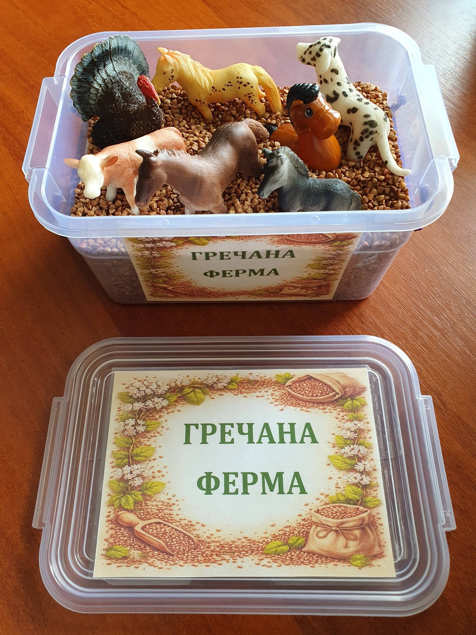 628140928 2026996574530586 8804968349869679866 n 1